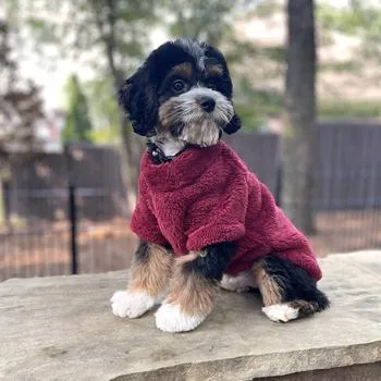 Soft Plush Pullover in Burgundy